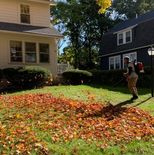 Fall leaf cleanup