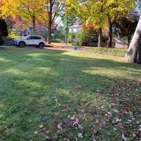 Leaf cleanup on a front lawn