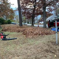 Blowing leaves off a lawn