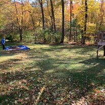 Fall cleanup in a wooded backyard