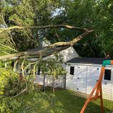 Storm-damaged limbs next to a shed