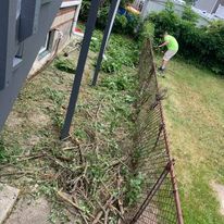 Clearing overgrowth along a fence line