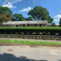 Trimmed hedge above a stone wall