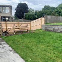 Backyard lawn along a new fence