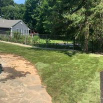 Curved lawn edge in a backyard