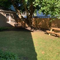 Backyard lawn with a picnic area