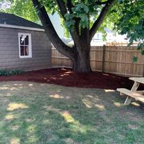 Backyard lawn under a shade tree