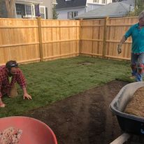 Crew laying sod along a fence