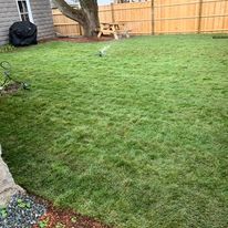 Freshly installed lawn