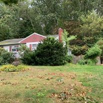 Front lawn with shrubs