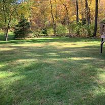 Backyard lawn in the fall