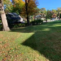 Lawn and shade trees in the fall