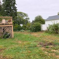 After: the same backyard with new lawn coming in