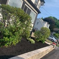 Fresh mulch bed with shrubs at a house corner