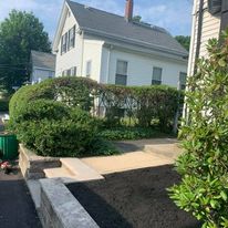 Front foundation shrubs trimmed and mulched