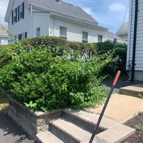 Front walkway bed with shrubs
