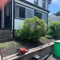 Front bed with new shrubs and mulch