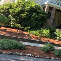 Planting bed with shrubs and perennials