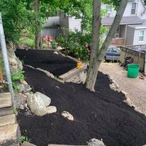Mulch ring around a yard tree