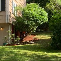 Shrub bed and lawn beside a house