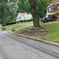 Mulch ring around a street tree
