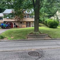 Tree ring and front lawn