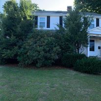 Foundation shrubs trimmed along a house