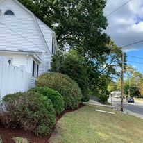 Rounded shrubs at a house corner